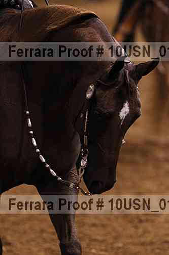 Proof 10usn_01240