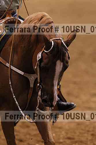 Proof 10usn_01241