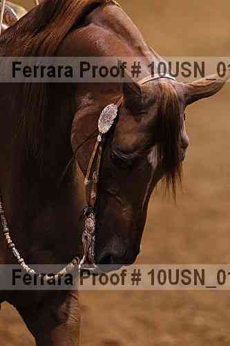 Proof 10usn_01244