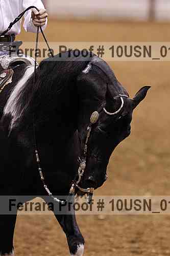 Proof 10usn_01246