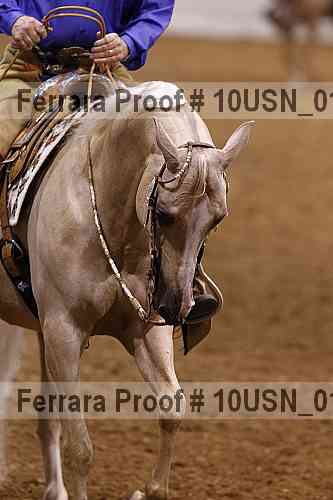Proof 10usn_01252