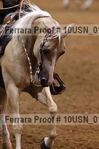 Proof 10usn_01253