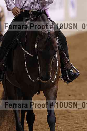 Proof 10usn_01270