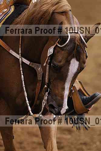Proof 10usn_01278