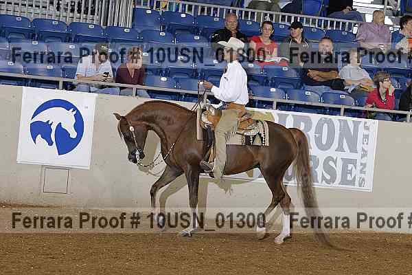 Proof 10usn_01300