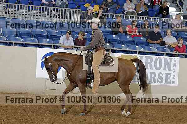 Proof 10usn_01306