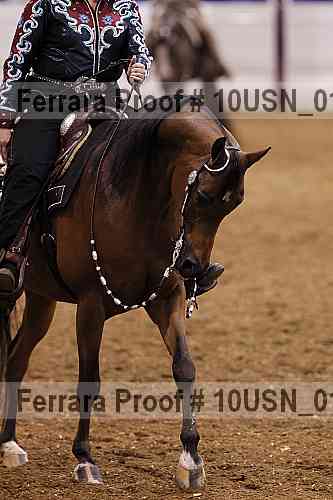 Proof 10usn_01308