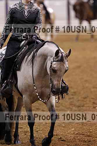 Proof 10usn_01311