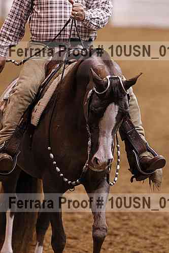 Proof 10usn_01316