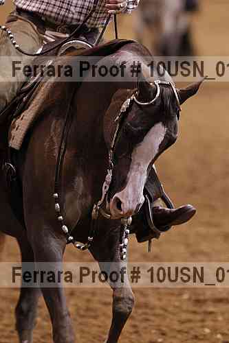 Proof 10usn_01319