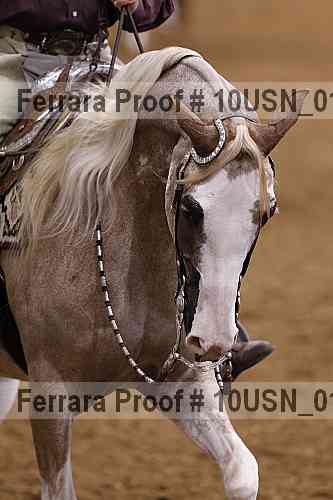 Proof 10usn_01320
