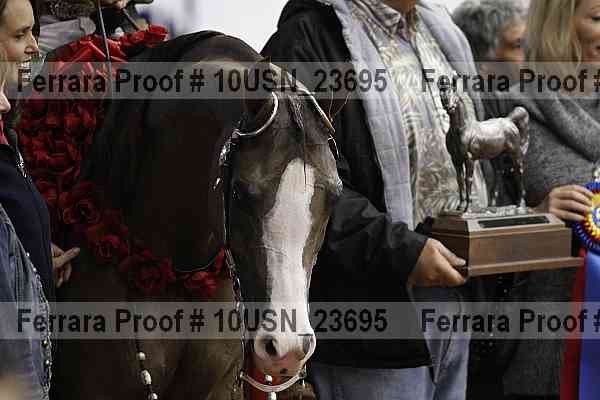 Proof 10usn_23695