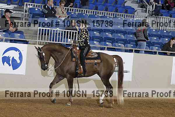 Proof 10usn_15738