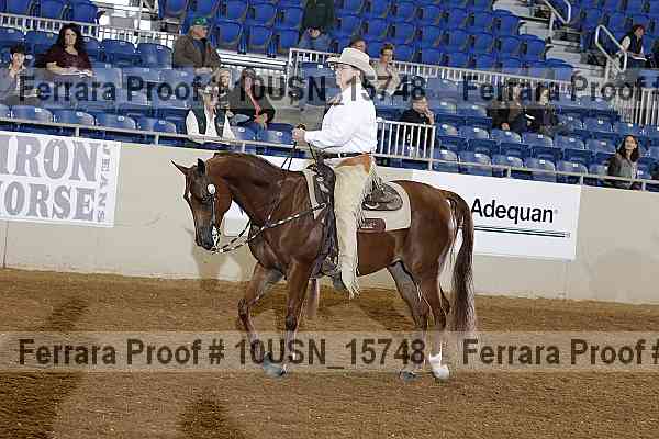 Proof 10usn_15748
