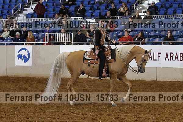 Proof 10usn_15783