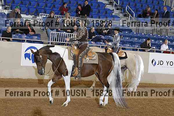 Proof 10usn_15828