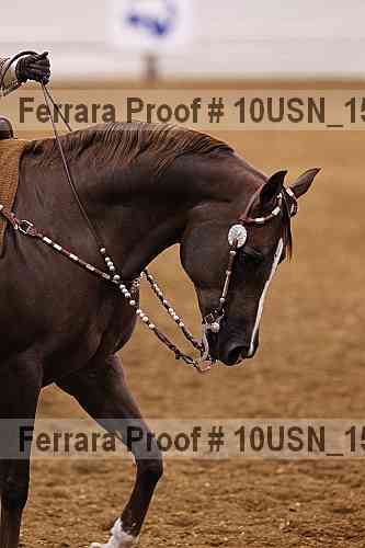 Proof 10usn_15831