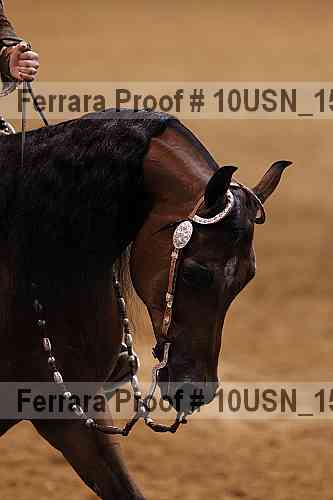Proof 10usn_15843