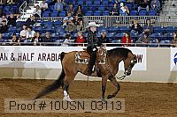 10usn_03113 proof