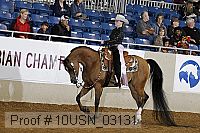 10usn_03131 proof
