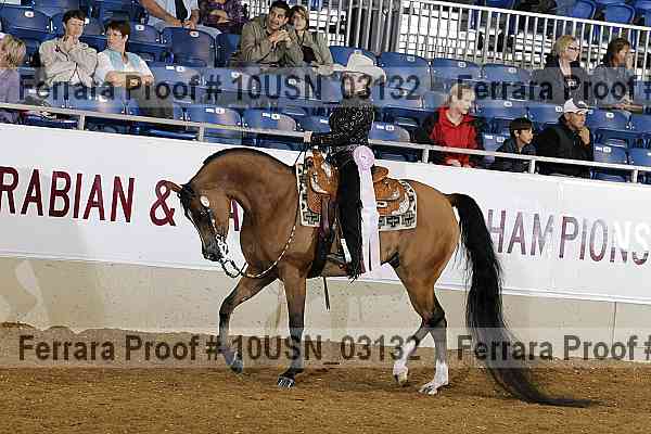 Proof 10usn_03132