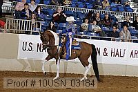 10usn_03184 proof