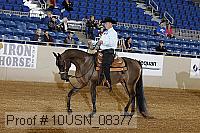 10usn_08377 proof
