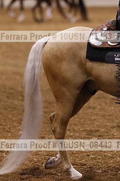 Proof 10usn_08443
