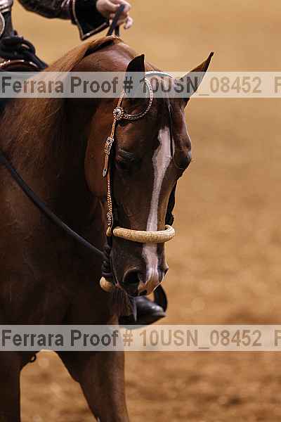 Proof 10usn_08452