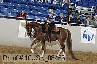 10usn_08456 proof