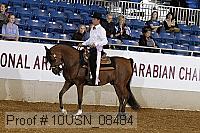10usn_08484 proof