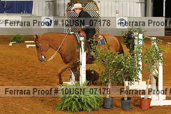 Proof 10usn_07178