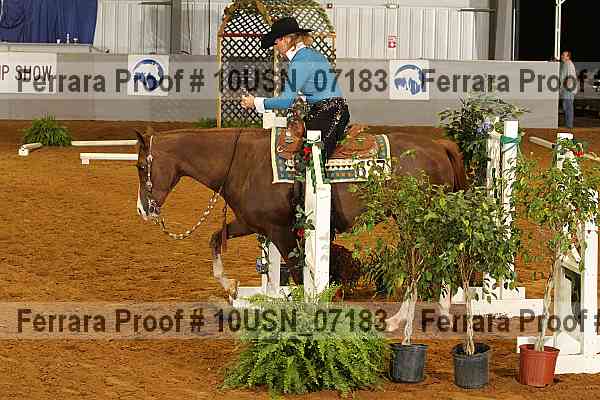 Proof 10usn_07183