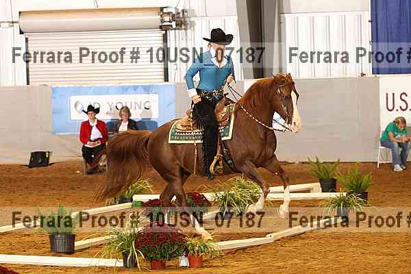 Proof 10usn_07187