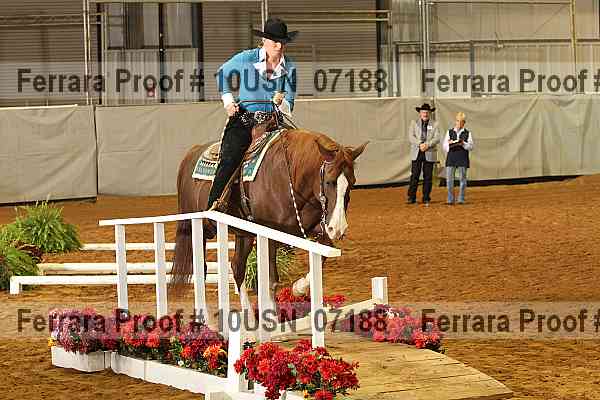 Proof 10usn_07188