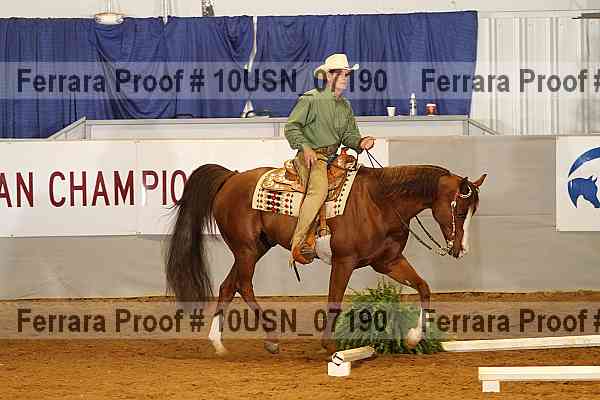 Proof 10usn_07190
