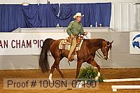 10usn_07190 proof