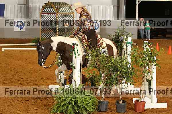 Proof 10usn_07193