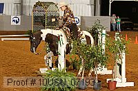 10usn_07193 proof