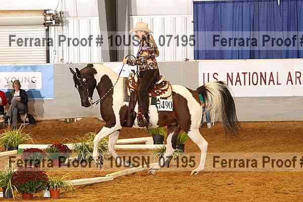 Proof 10usn_07195
