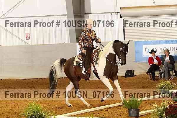 Proof 10usn_07196