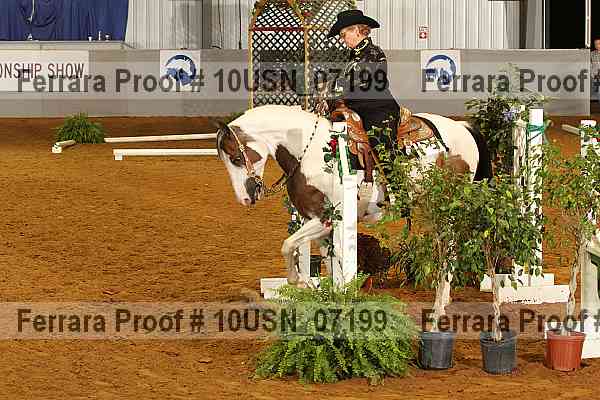 Proof 10usn_07199