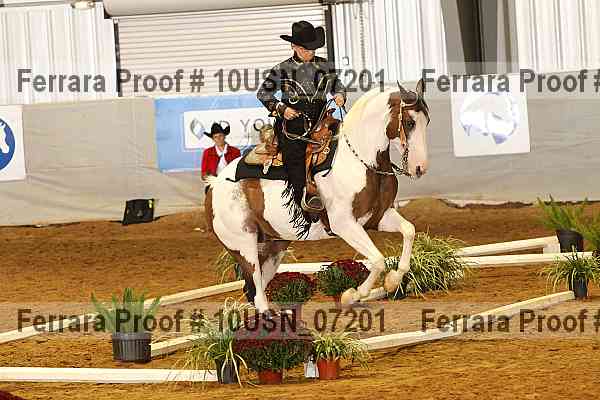 Proof 10usn_07201