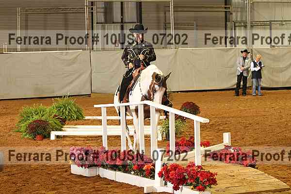 Proof 10usn_07202