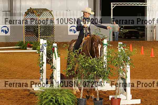 Proof 10usn_07204