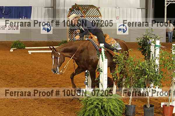 Proof 10usn_07205