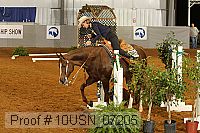 10usn_07205 proof