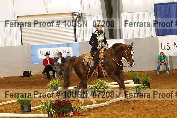 Proof 10usn_07208