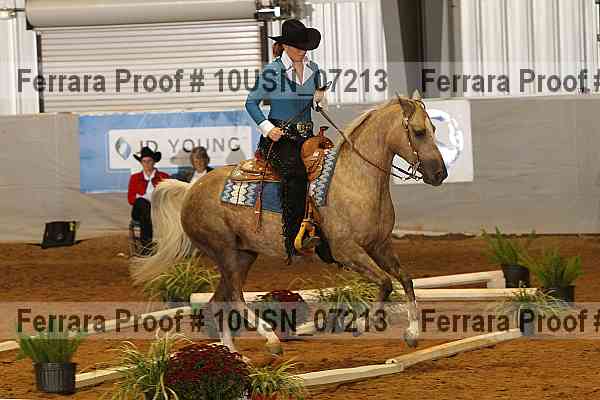 Proof 10usn_07213