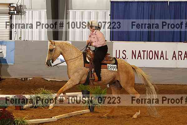 Proof 10usn_07223